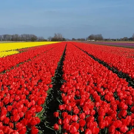 Apartment Haus Maike Komfortabel Und Gemuetlich Im Grossen Garten, Strandnah *