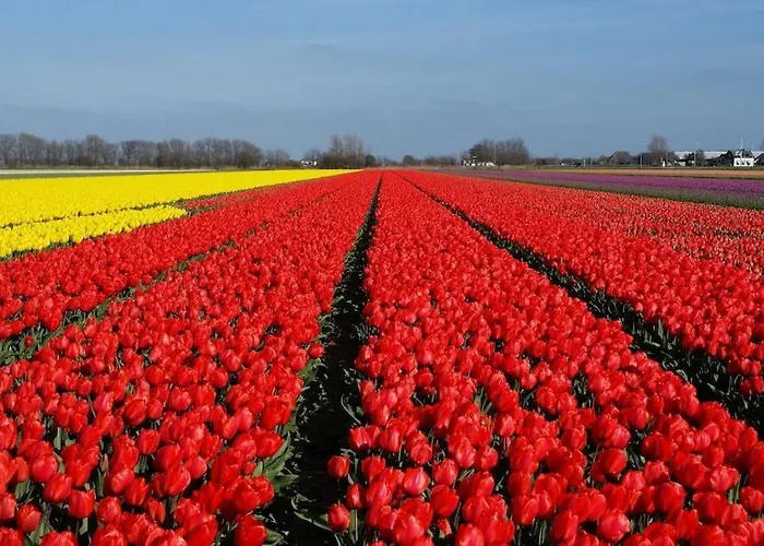 公寓 Haus Maike Komfortabel Und Gemuetlich Im Grossen Garten, Strandnah *