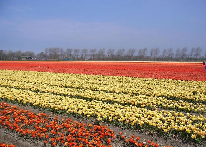 Haus Maike Komfortabel Und Gemuetlich Im Grossen Garten, Strandnah